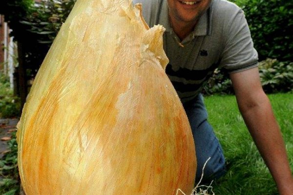 Кракен сайт ссылка онлайн