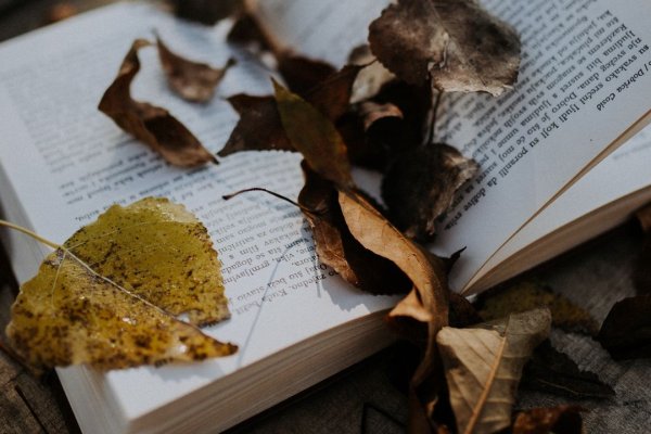Кракен даркнет площадка