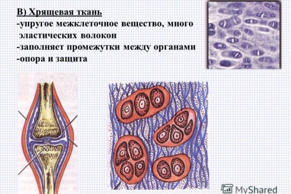 Актуальные ссылки кракен 2025