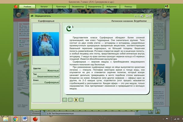 Kra33.at Вход на сайт главная страница