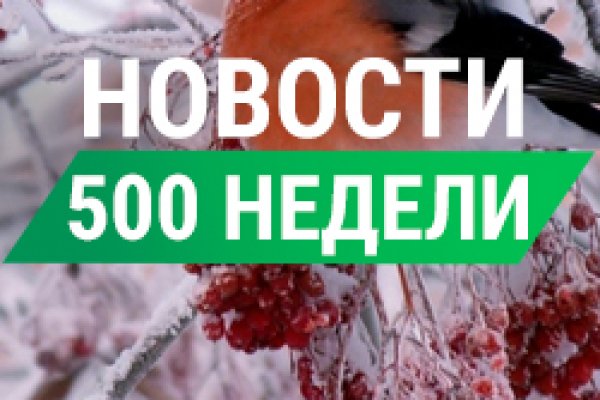 Зайти в кракен