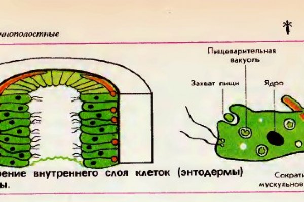 Почему не могу зайти на кракен
